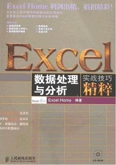 Excel数据处理与分析实战技巧精粹 从入门到高效